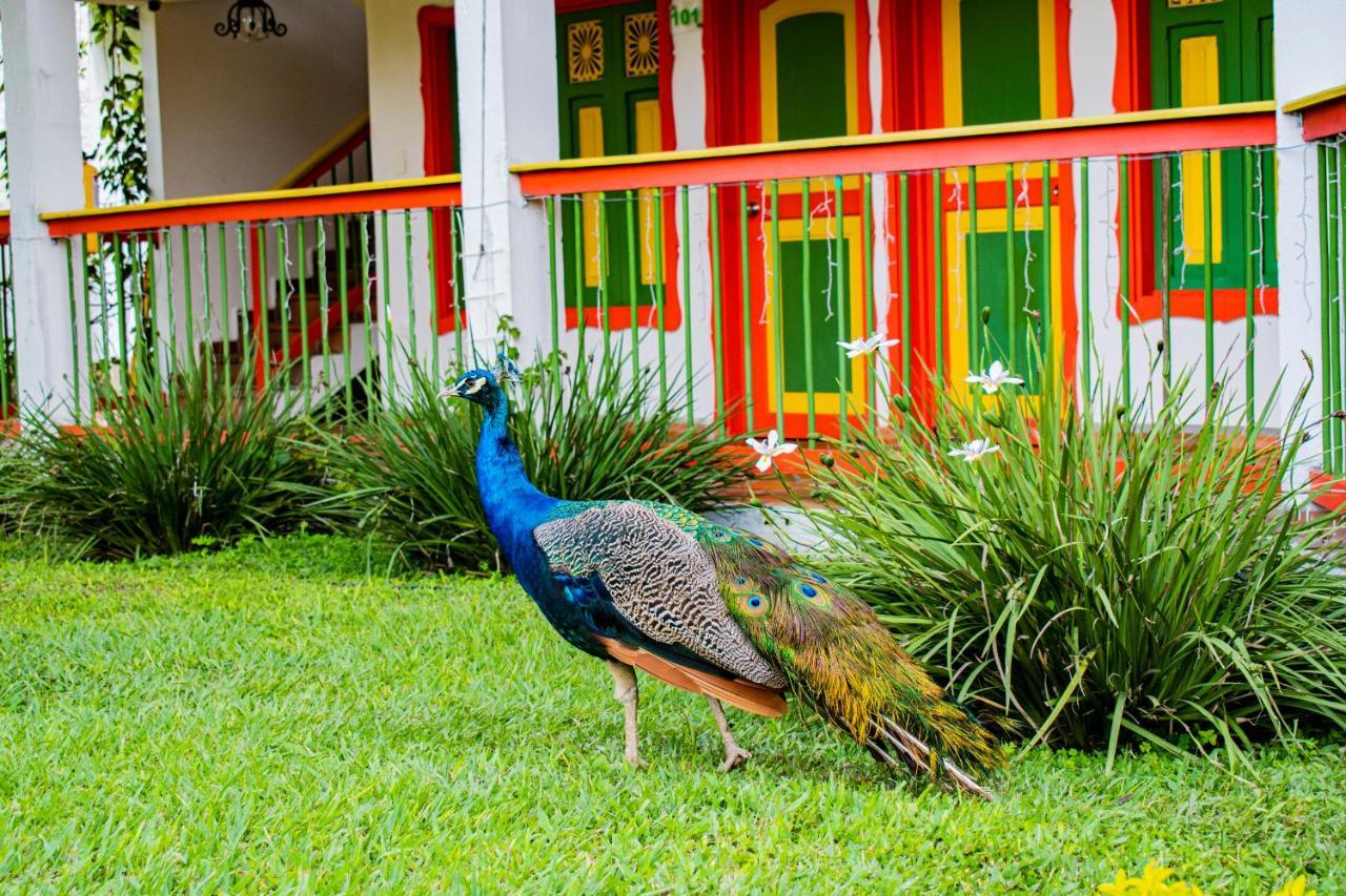 Hotel Campestre Cafe Cafe Montenegro Exterior photo